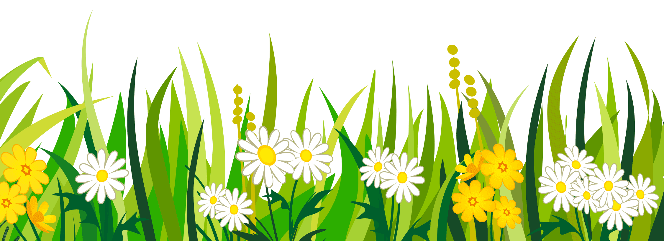 Masthead image